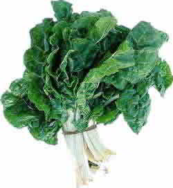 calabaza