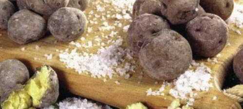 Recetas de cocina típicas canarias. Comida canaria