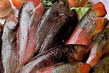 Vieja Sancochada. Ricas recetas típicas de canarias
