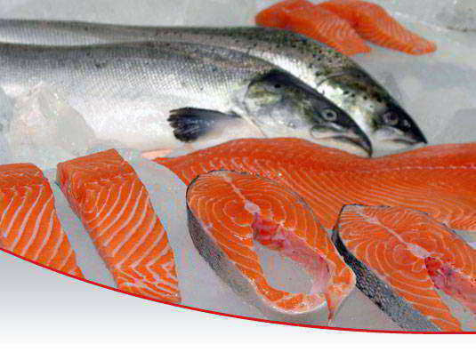 salmón, cocinar salmón, salmón rosado, cocción perfecta,