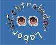 imagen de diapositiva power points gratis pps gratis ppt