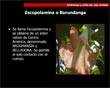 imagen de diapositiva power points gratis pps gratis ppt