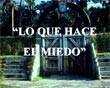 lo que hace el miedo en nuestras vidas. archivo pps, ppt