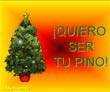 presentaciones pps. Quiero ser tu Pino