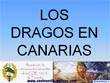 presentaciones pps. Los Dragos de Canarias