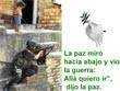 imagen de diapositiva power point pps ppt