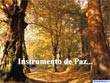 presentaciones pps. Instrumento de Paz