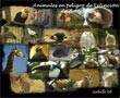 presentaciones pps. Animales en Peligro de Extinción