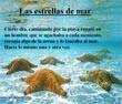 presentaciones pps. Las Estrellas de Mar