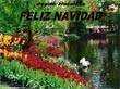 imagen de diapositiva power point pps ppt