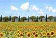 Power point, pps, gratis. Italia, La Toscana