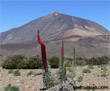 Power point, pps, gratis. La ruta de los Tajinastes