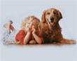 Power point, pps, gratis. Si un perro fuera maestro...