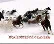 Power point, pps, gratis. Horizontes de Grandeza