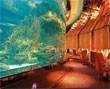 Power point, pps, gratis. Hotel Burj Al Arab