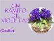 Power point, pps, gratis. Un ramito de violetas - Cecilia