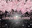 Power point, pps, gratis. Lluvia de Flores
