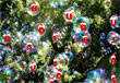 Power point, pps, gratis. Navidad de Burbujas