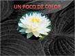 Power point, pps, gratis. Un poco de Color