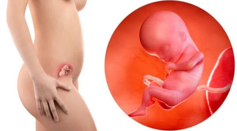 ¿Se puede sentir al bebé a las 15 semanas? ¿Tienes barriga a las 15 semanas de embarazo?