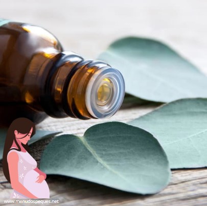 ¿Se puede usar Aceite de eucalipto en el embarazo?