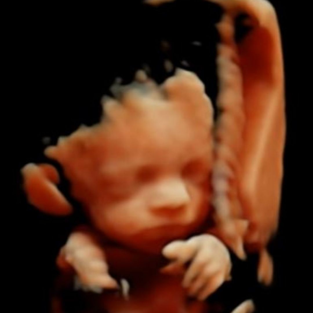 feto 25 semanas, El niño comienza a aprender el lenguaje en el vientre materno