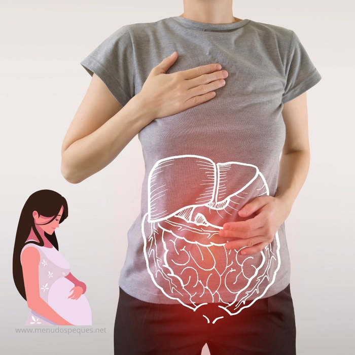 El sistema digestivo durante el embarazo
