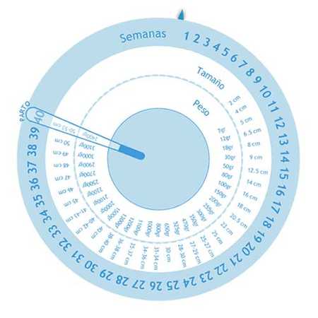 Gestograma para calcular las fechas de tu embarazo