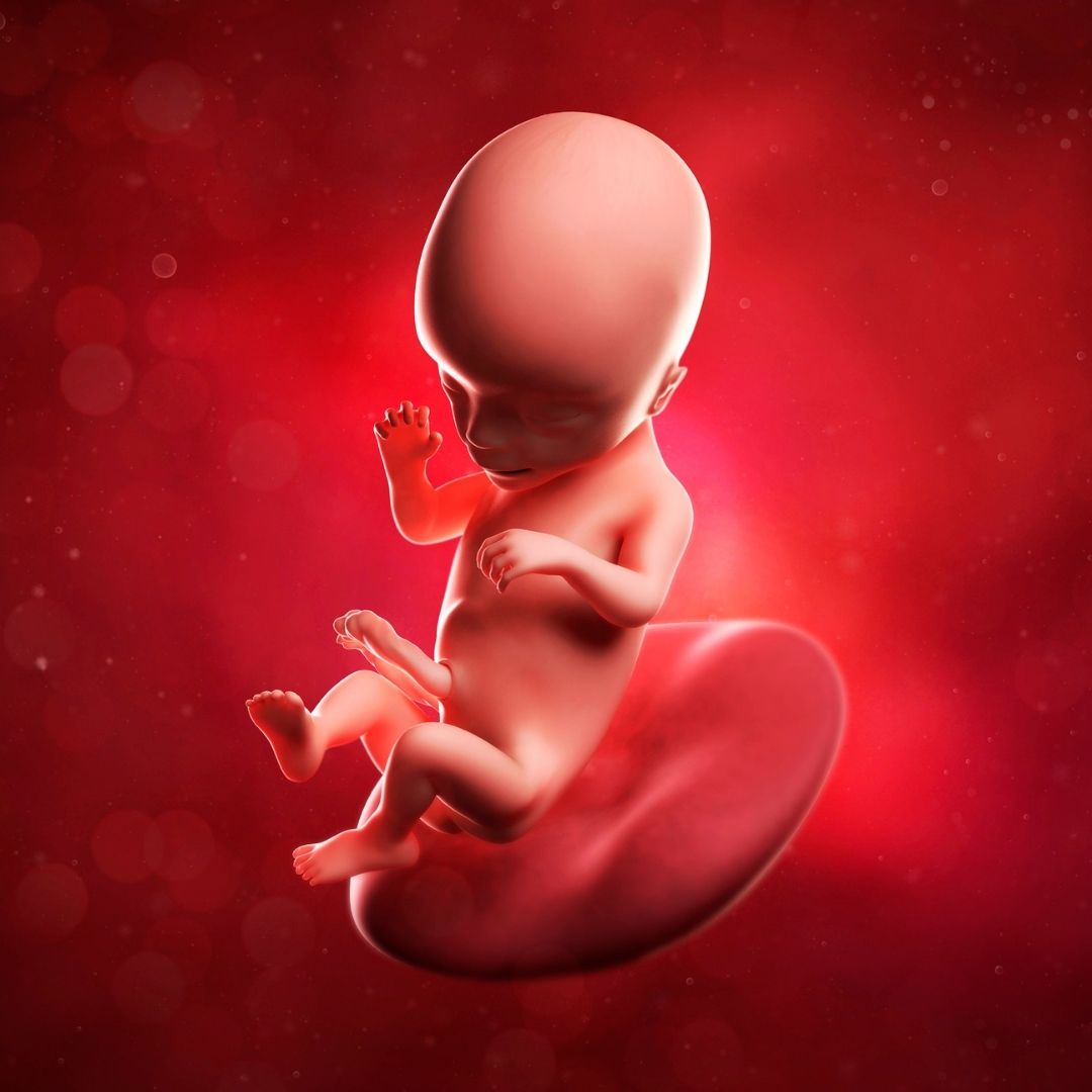 ¿Cómo saber si tu bebé tiene hipo?  ¿Por qué los fetos tienen hipo?