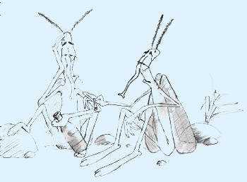 Dibujo de mosquitos bebiendo