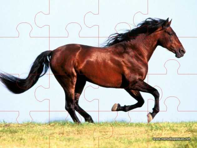 caballo puzzle