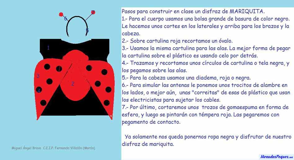 como hacer un disfraz de Mariquita