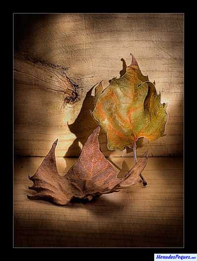 Cuentos Infantiles Sobre El Otoño