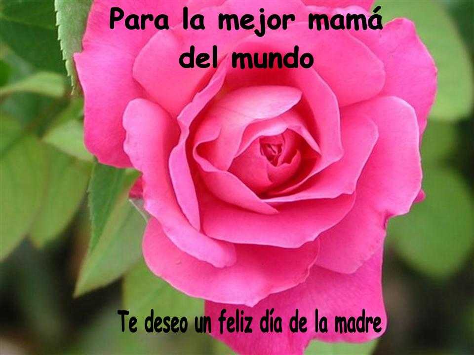 Diploma para el d�a De la Madre