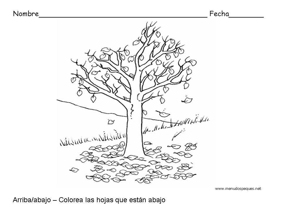 Ficha infantil sobre los conceptos arriba y abajo