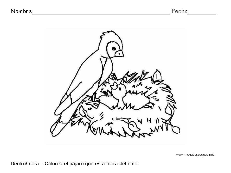 Ficha infantil sobre los conceptos Dentro y Fuera