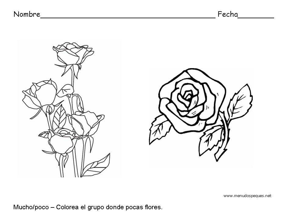 Ficha infantil sobre los conceptos Mucho y Poco