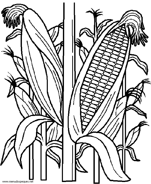 lamina para colorear del D&iacute;a de la Alimentaci&oacute;n. para colorear. Verduras