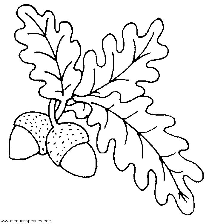 lamina para colorear de casta&ntilde;as