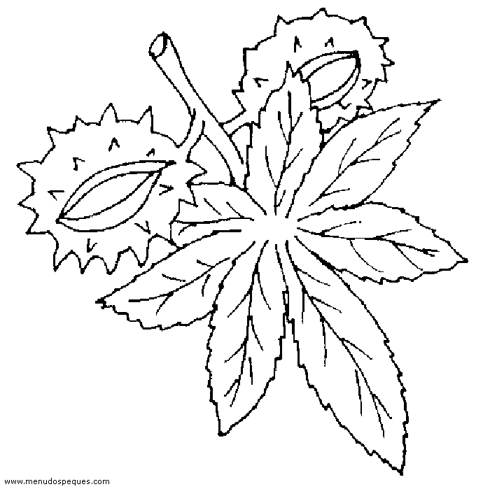 lamina para colorear de casta&ntilde;a 02