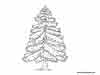 arbol