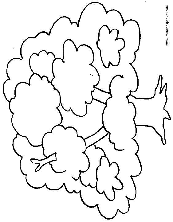 lamina para colorear del D&iacute;a del &Aacute;rbol. para colorear