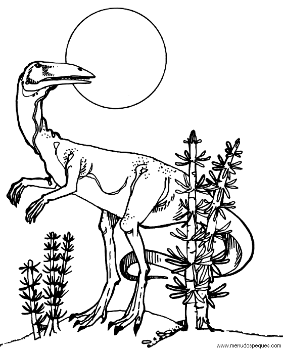 l&aacute;minas de dibujos para imprimir y colorear Dinosaurios coleophys