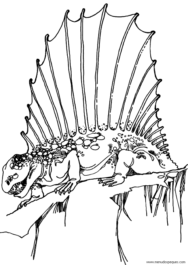 l&aacute;minas de dibujos para imprimir y colorear Dinosaurios dimetrodon