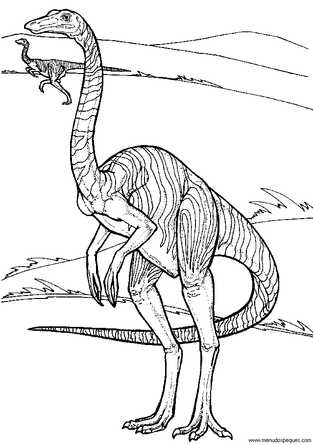 l&aacute;minas de dibujos para imprimir y colorear Dinosaurios gallimimus