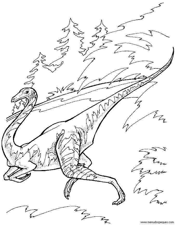 l&aacute;minas de dibujos para imprimir y colorear Dinosaurios ornithominus