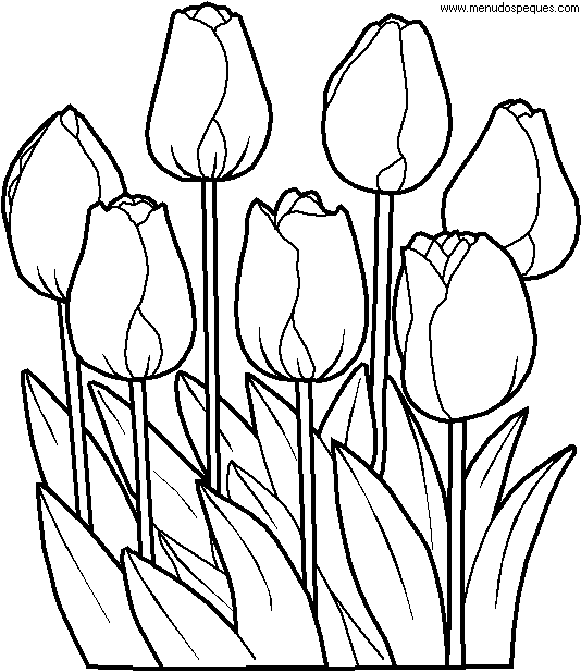 lamina para colorear de la Primavera