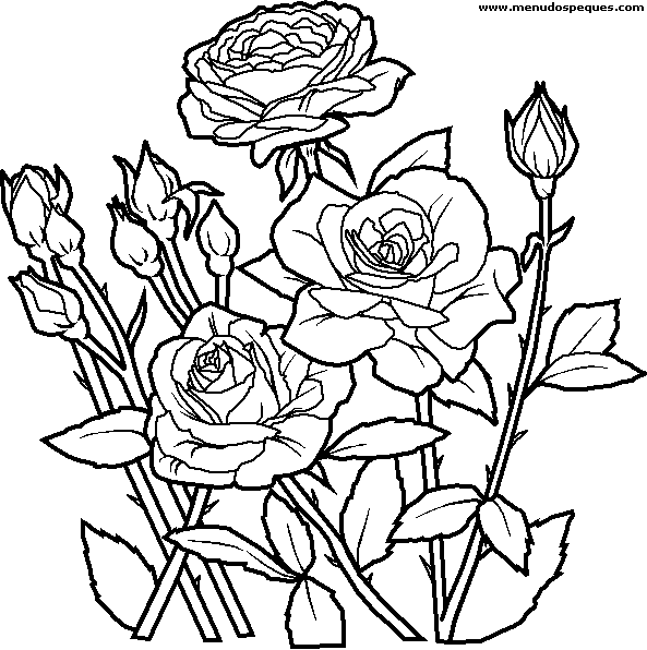 lamina para colorear de la Primavera