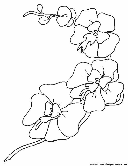lamina para colorear de la Primavera