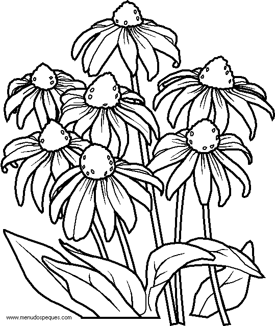 lamina para colorear de la Primavera